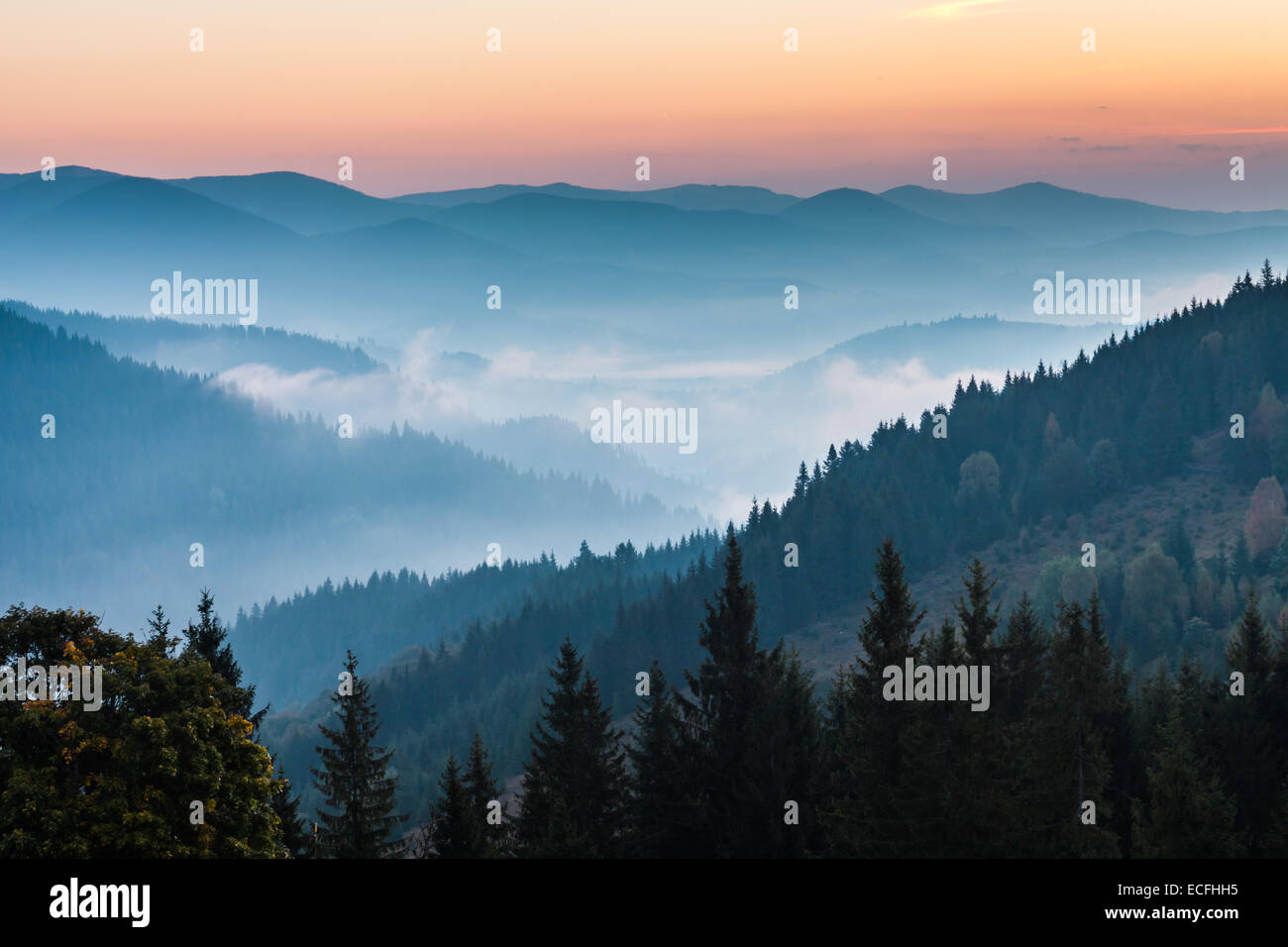 the mountain autumn landscape with colorful forest Stock Photo - Alamy