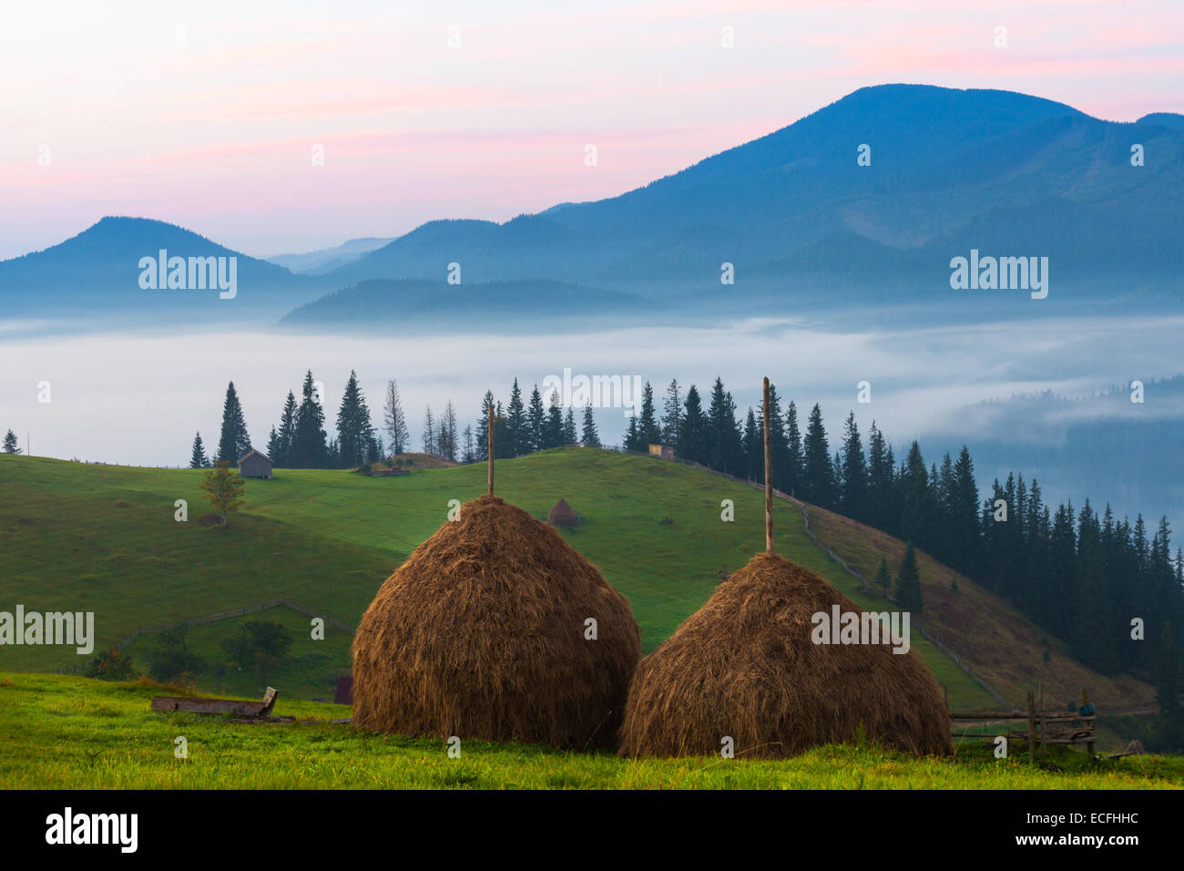 the mountain autumn landscape with colorful forest Stock Photo - Alamy