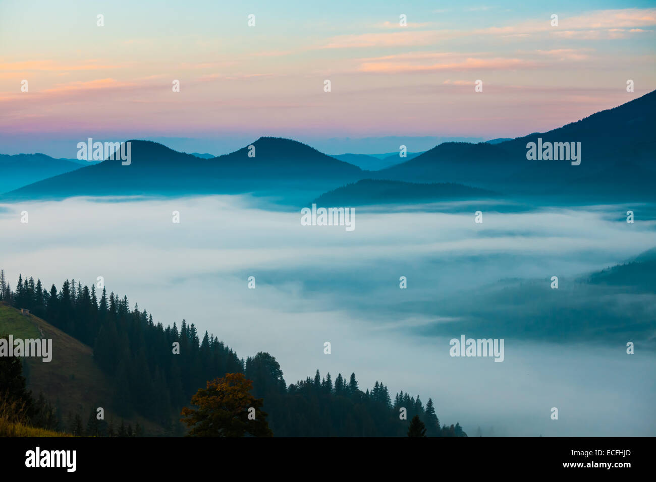 the mountain autumn landscape with colorful forest Stock Photo - Alamy