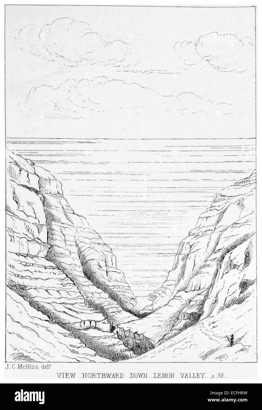 MELLISS(1875) p101 - PLATE 18 - Lemon Valley Stock Photo