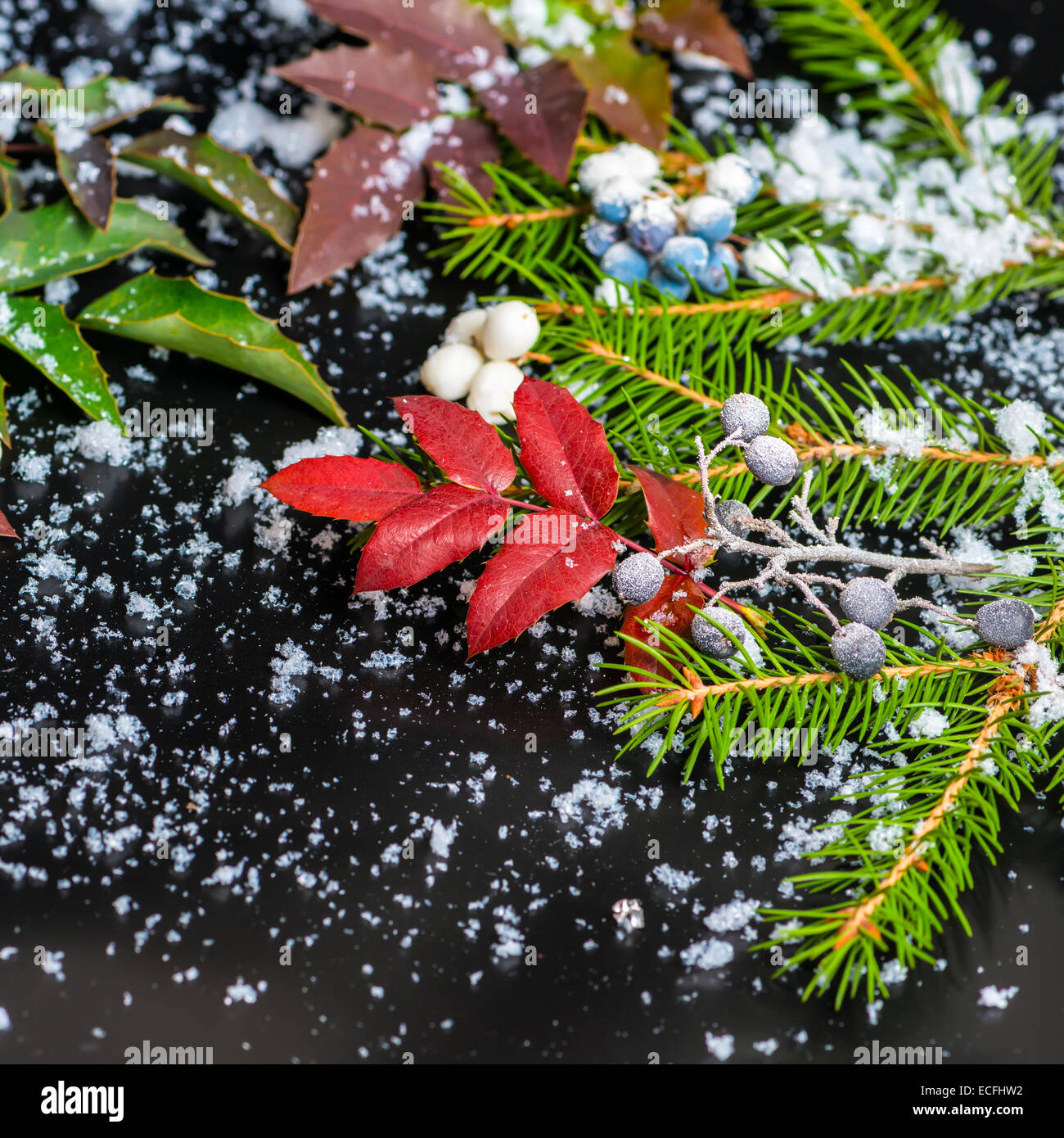 Evergreen branches hi-res stock photography and images - Alamy