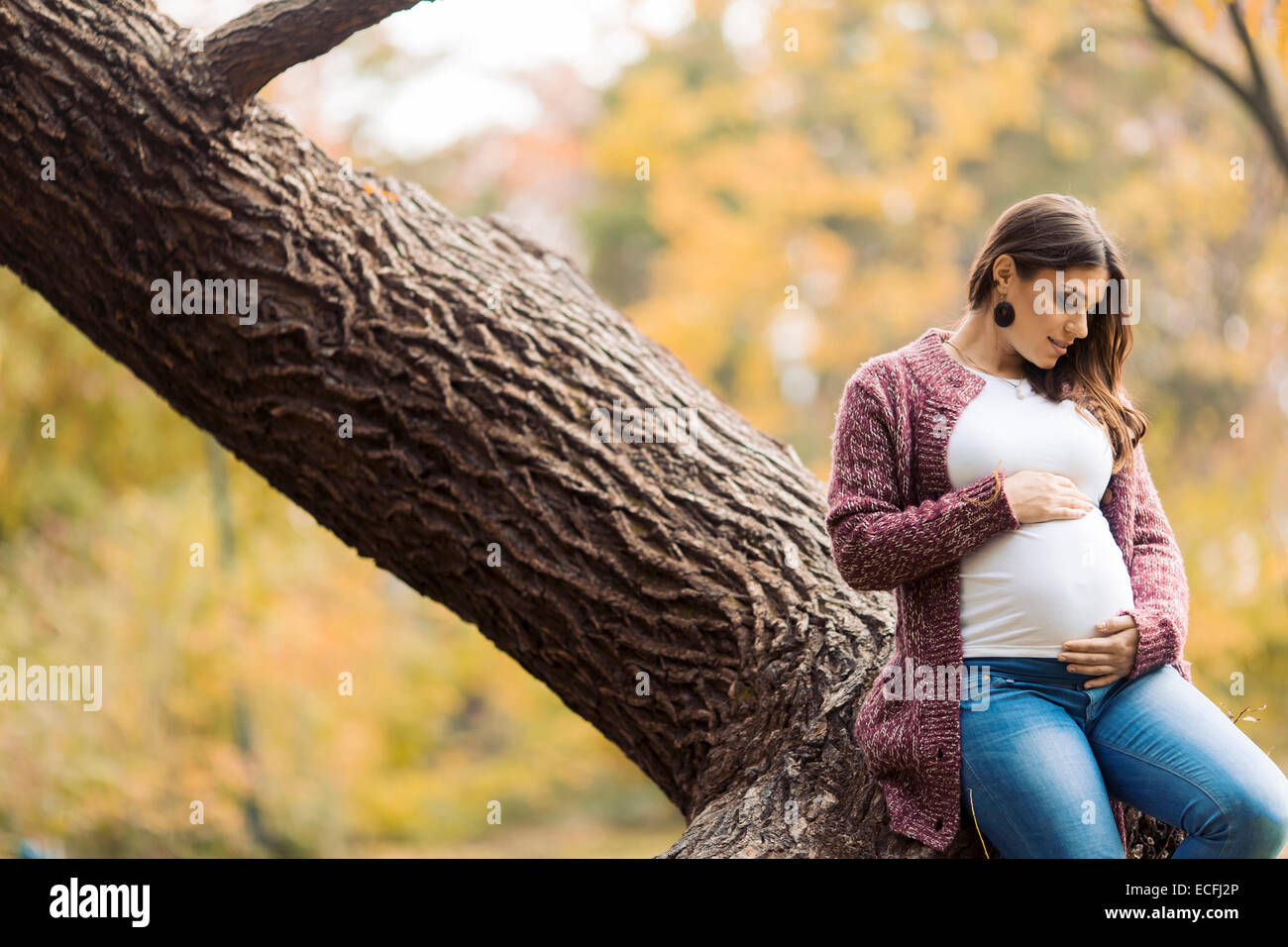 Young pregnant woman in the autumn park Stock Photo - Alamy