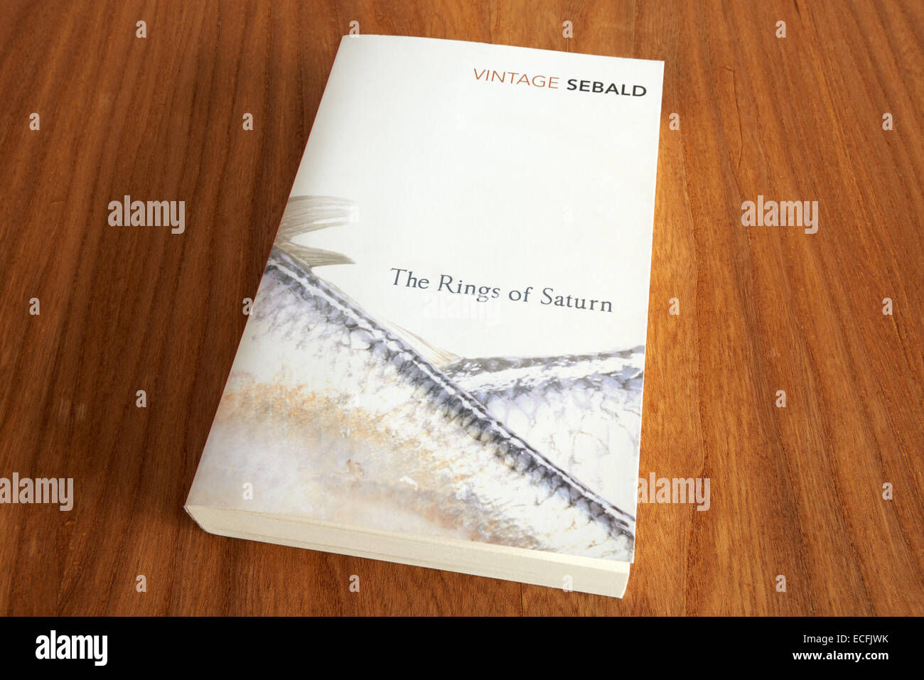 The Rings of Saturn by W.G. Sebald Stock Photo - Alamy