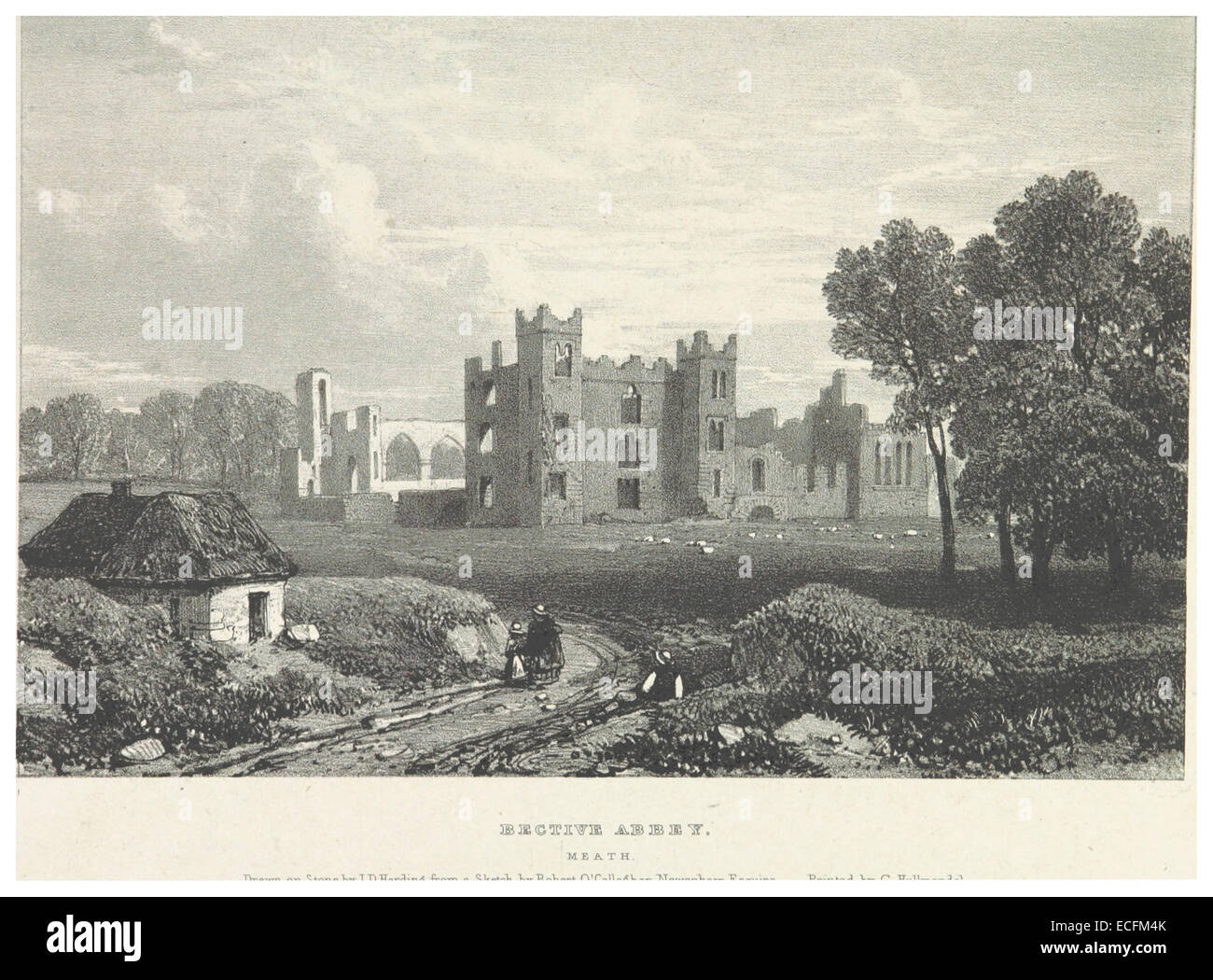 NEWENHAM(1830) p199 MEATH - BECTIVE ABBEY Stock Photo - Alamy