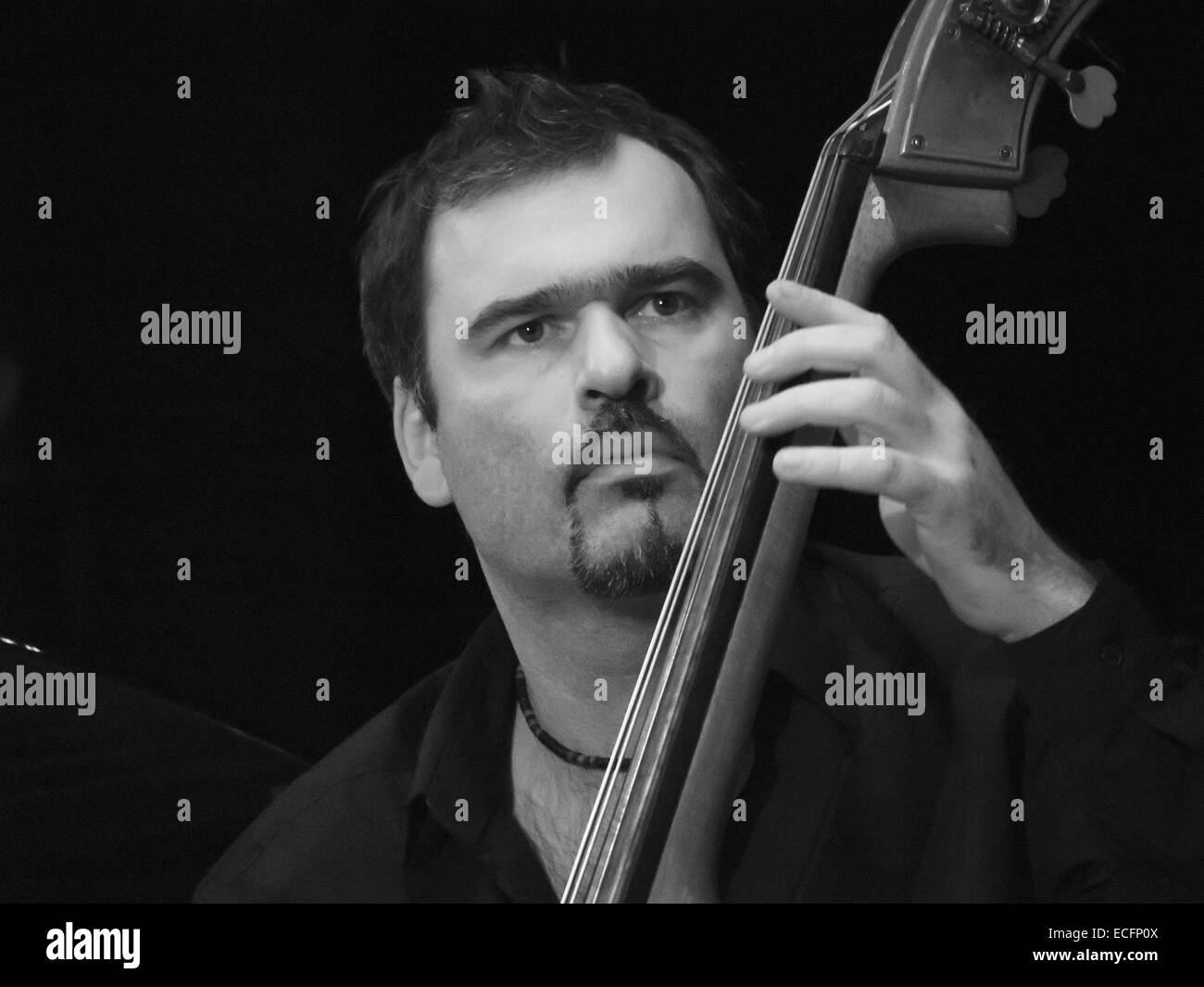 Cedric Raymond. 13th Dec, 2014. double bass Stewe Houben Quartet