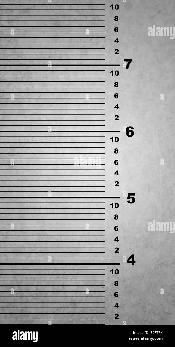 ruler on a wall of a jail to measure people height Stock Photo Alamy