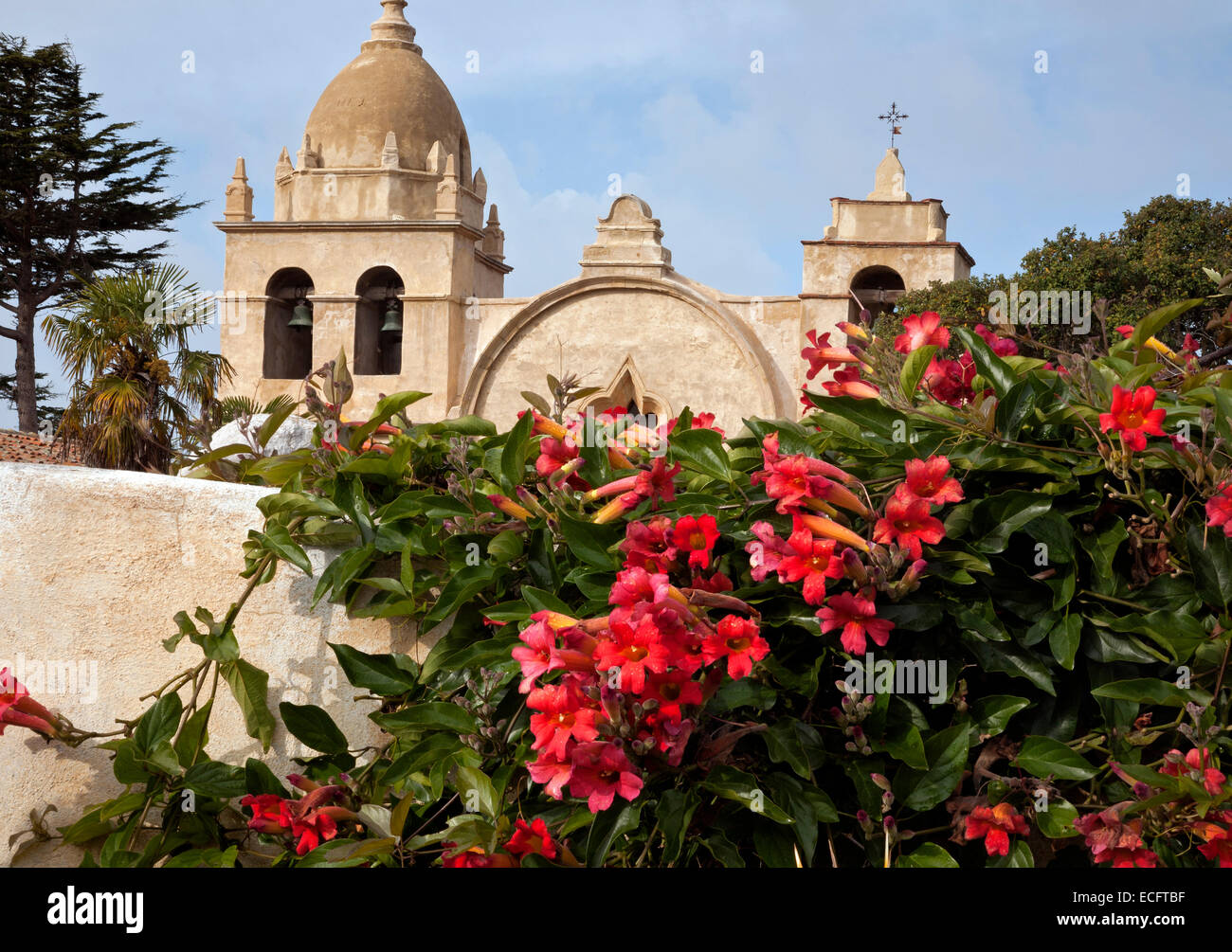 CALIFORNIA Flowers blooming in the gardens outside the Mission San