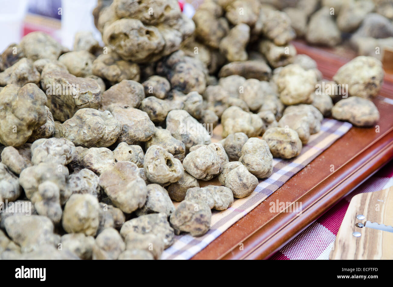 white truffles on a desk in italy Stock Photo Alamy