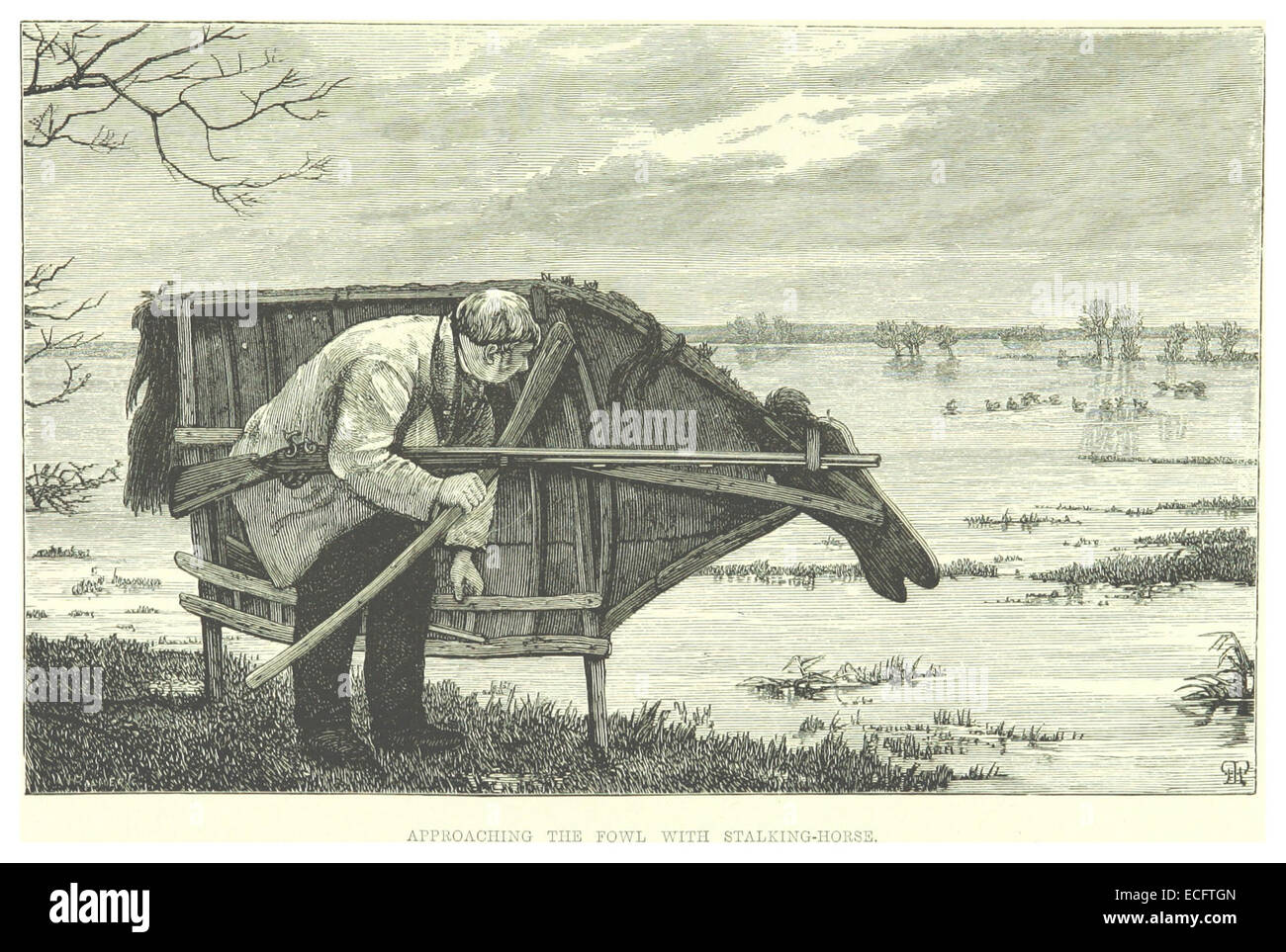 Stalking horse hires stock photography and images Alamy