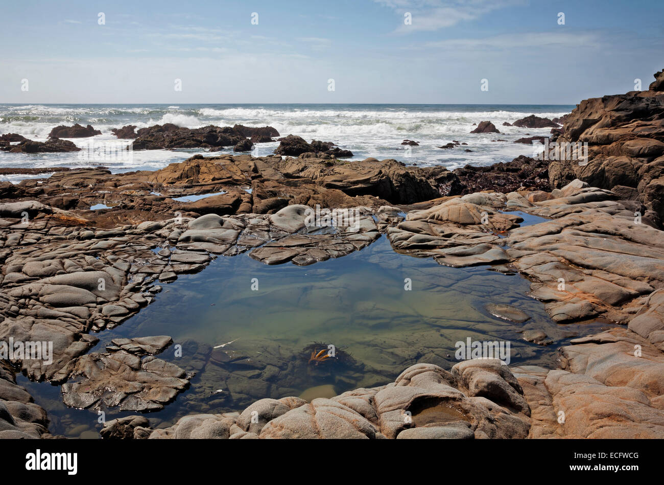 CA02495-00...CALIFORNIA - Colorful eroded sandstone and small pool at Pescadero State Beach. Stock Photo