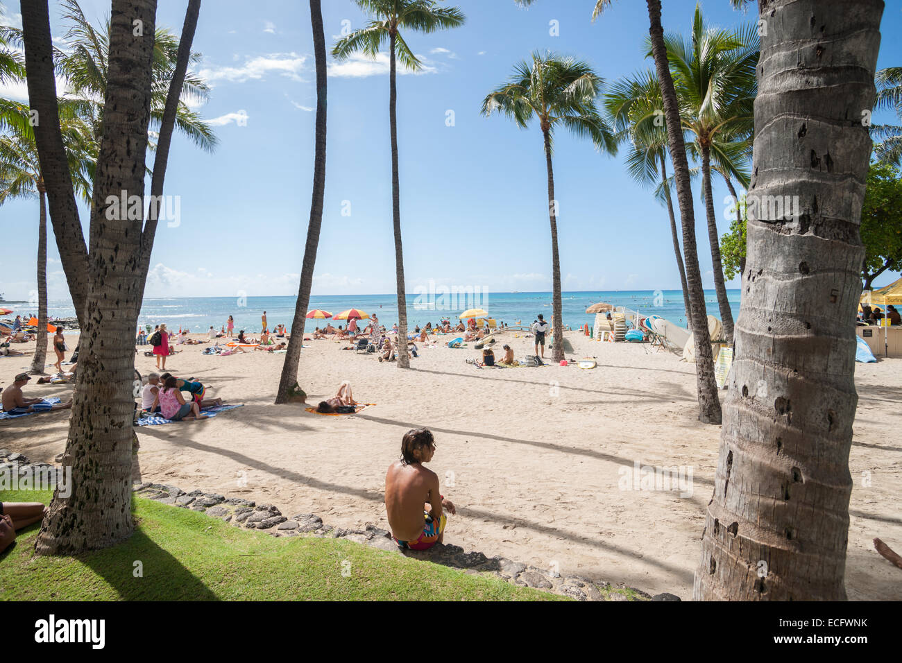 Hawaii waikiki beach sunbathing hi-res stock photography and images - Alamy