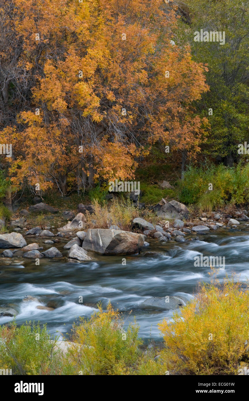 Kern Wild and Scenic River on River Trail, Sequoia National Forest ...