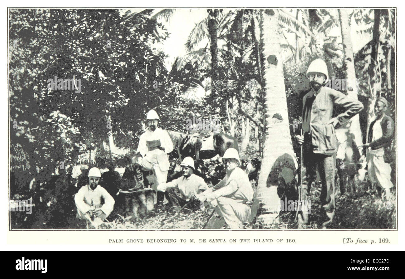 This 1899 illustration by Worsfold presents a palm grove on the Island of Ibo, located in the Bight of Biafra, Nigeria. The image captures the lush landscape and tropical environment of the region. Stock Photo