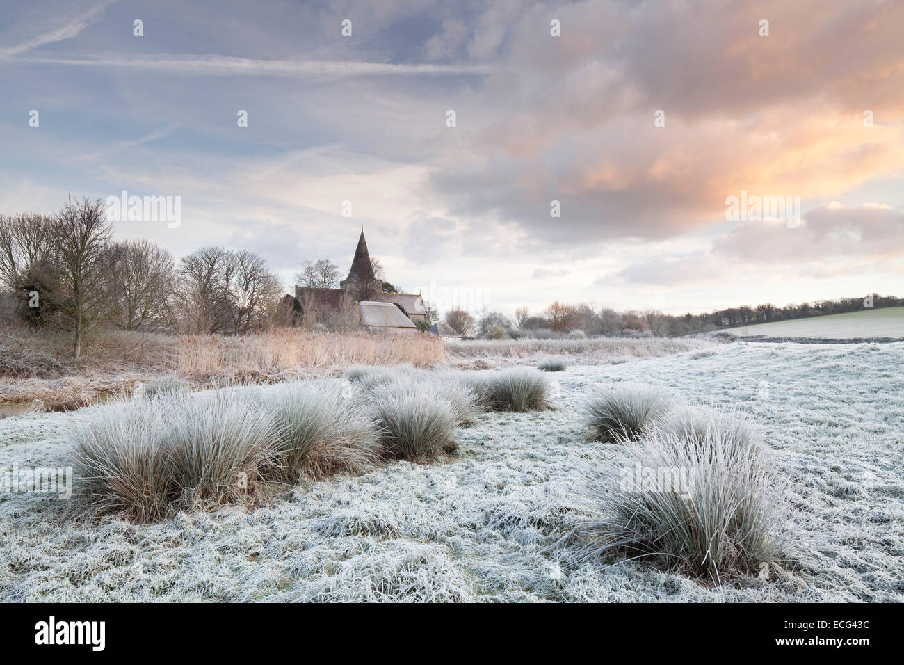 Frost covers ground hi-res stock photography and images - Alamy