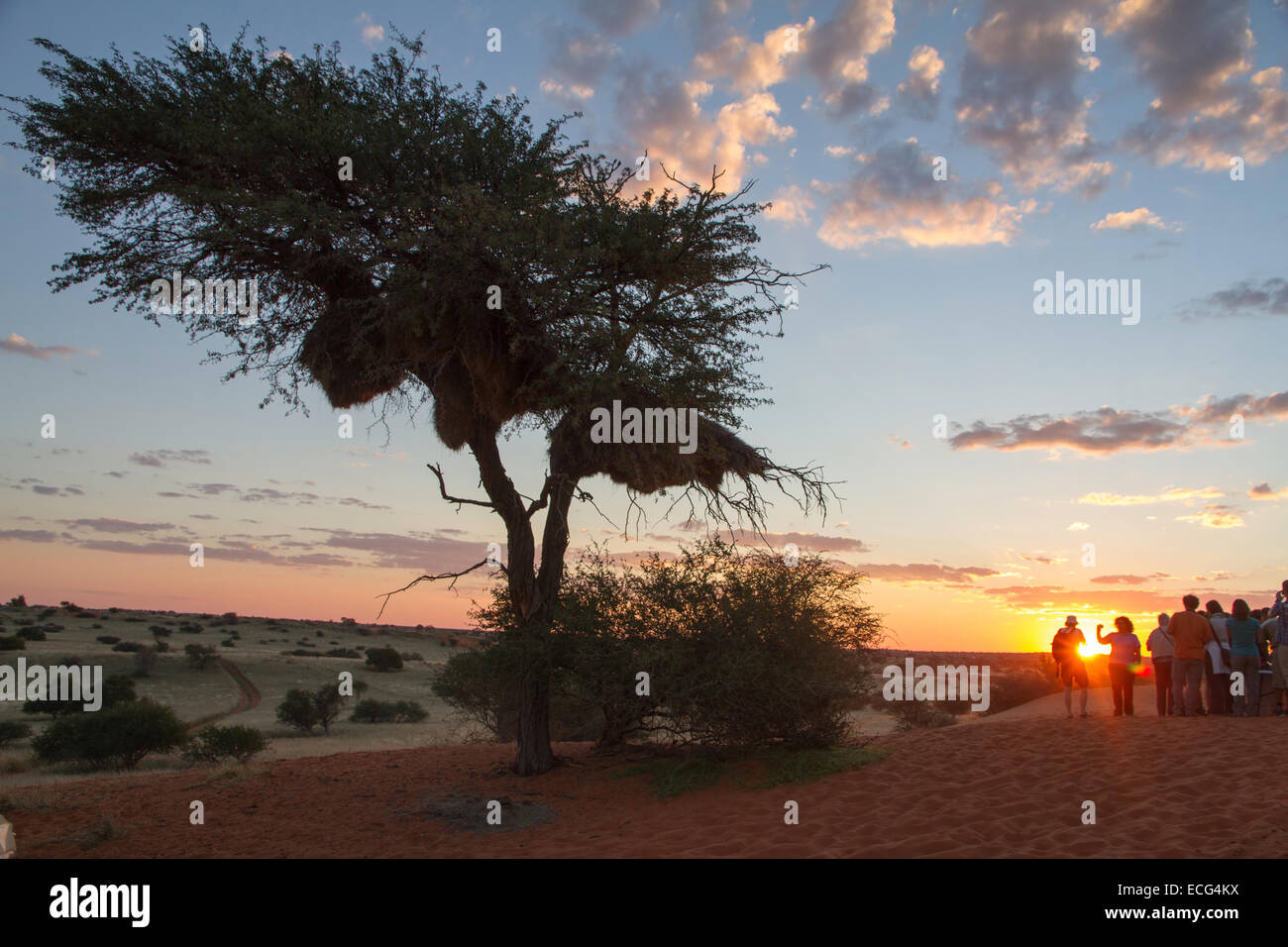 People looking at the sunset after an african safari Stock Photo - Alamy