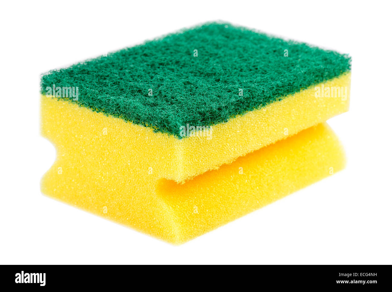 Closeup sponge hi res stock photography and images Alamy