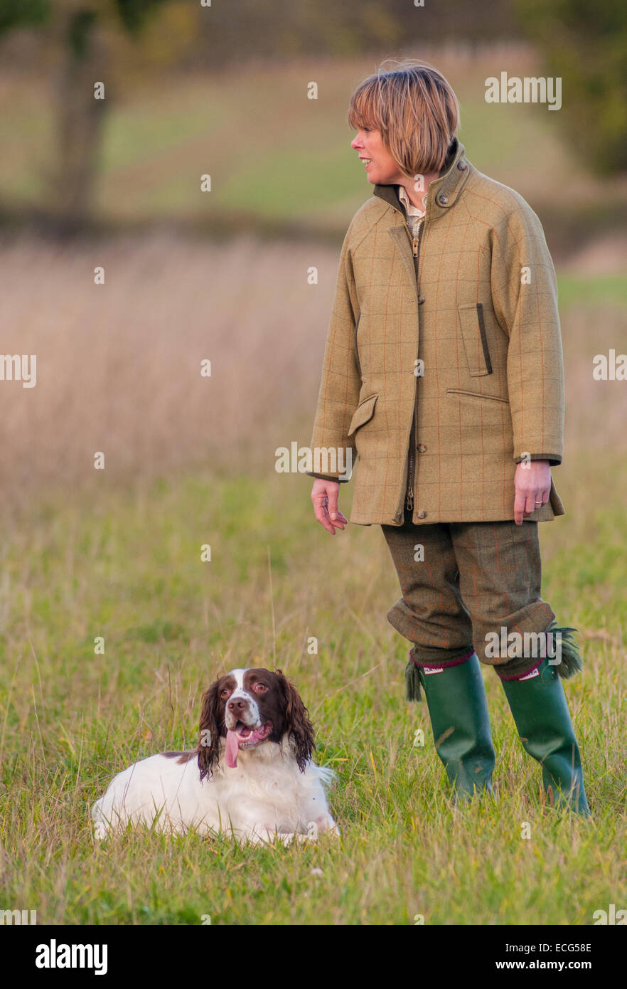 A woman with an English Springer Spaniel in fields Stock Photo