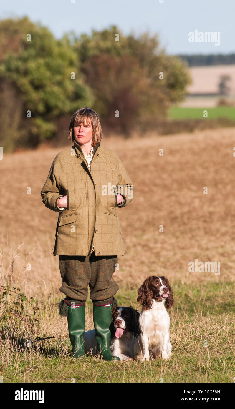 A woman in tradition tweed coat walking an English Springer Spaniel across fields in the autumn sun Stock Photo