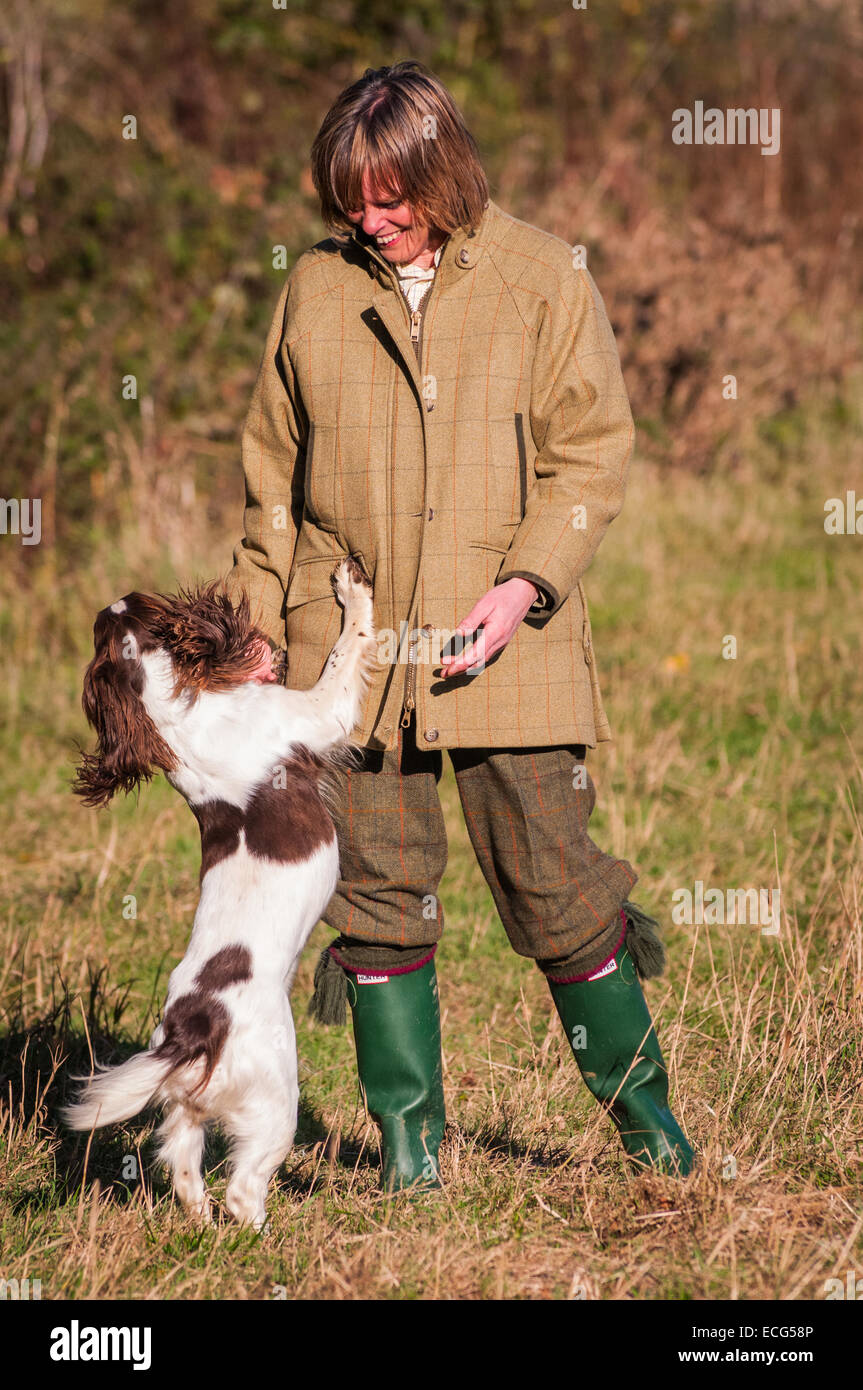 A woman in tradition tweed coat with an English Springer Spaniel Stock Photo