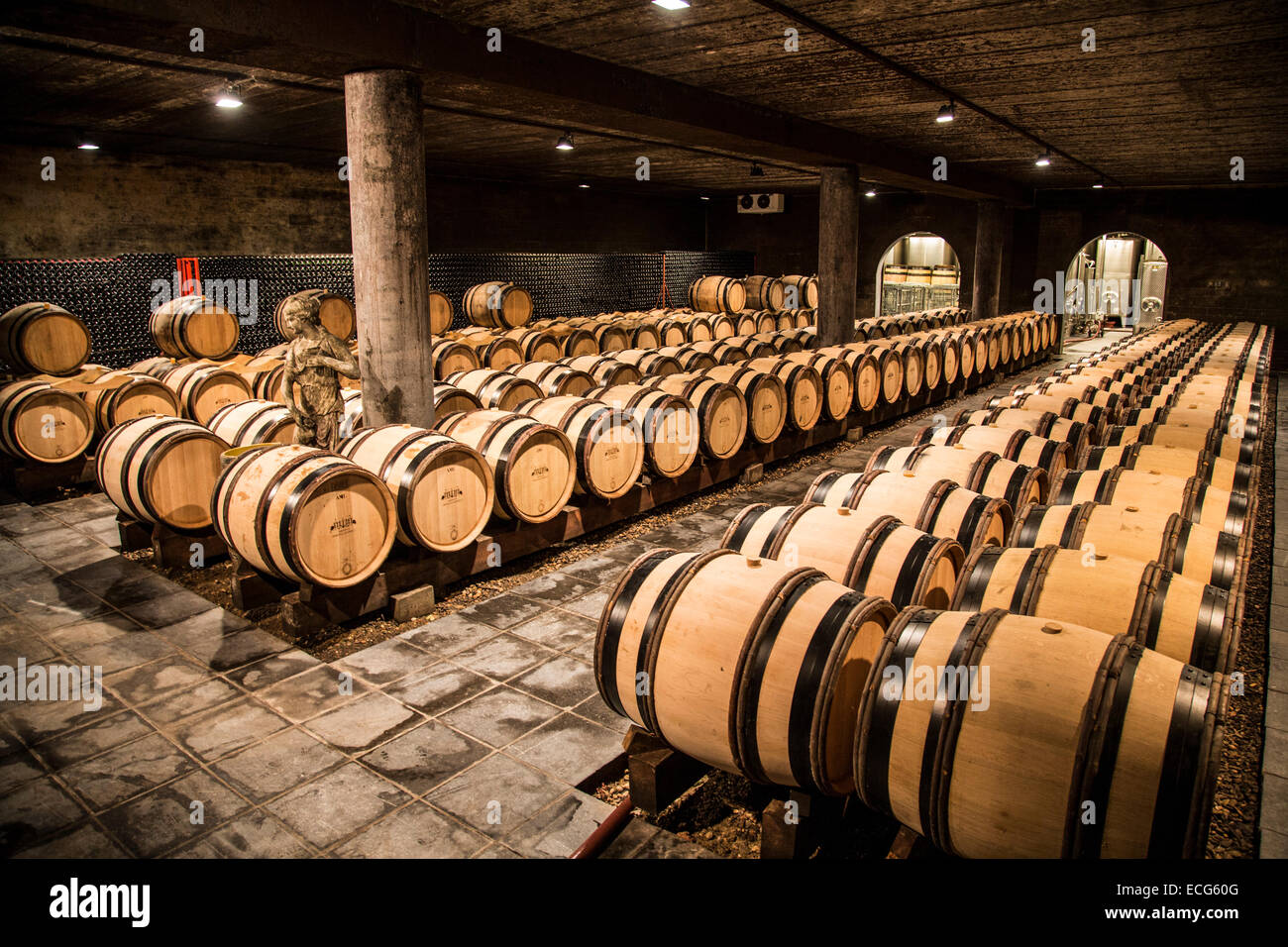 Winery, "Schloss Genoels Edleren", the largest winery in Belgium, wine