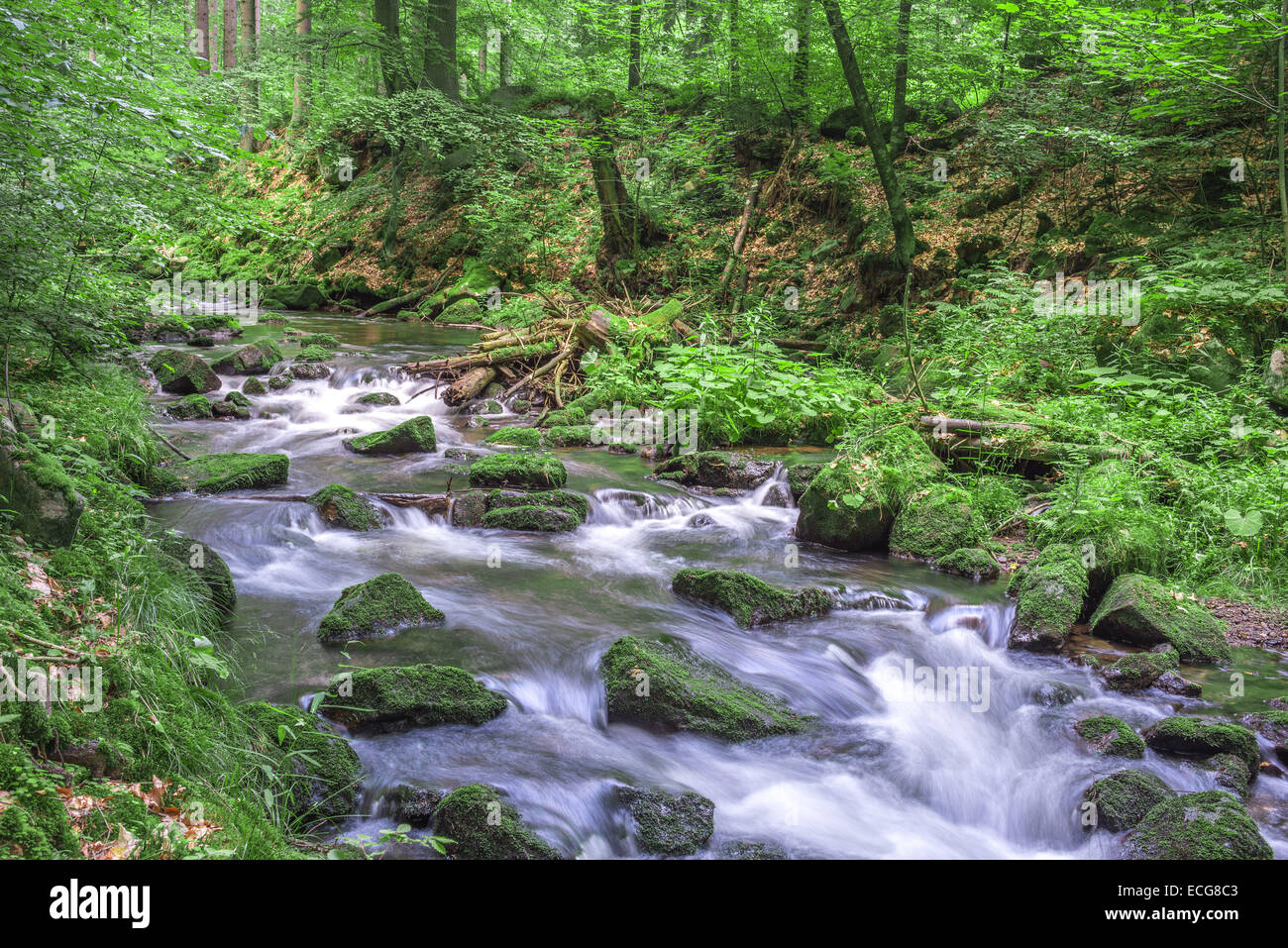 River flowing through mountain hi-res stock photography and images - Alamy