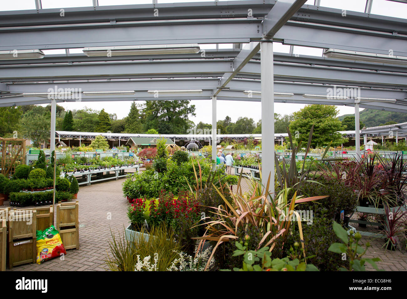 Hayes Garden World garden centre Ambleside Stock Photo Alamy
