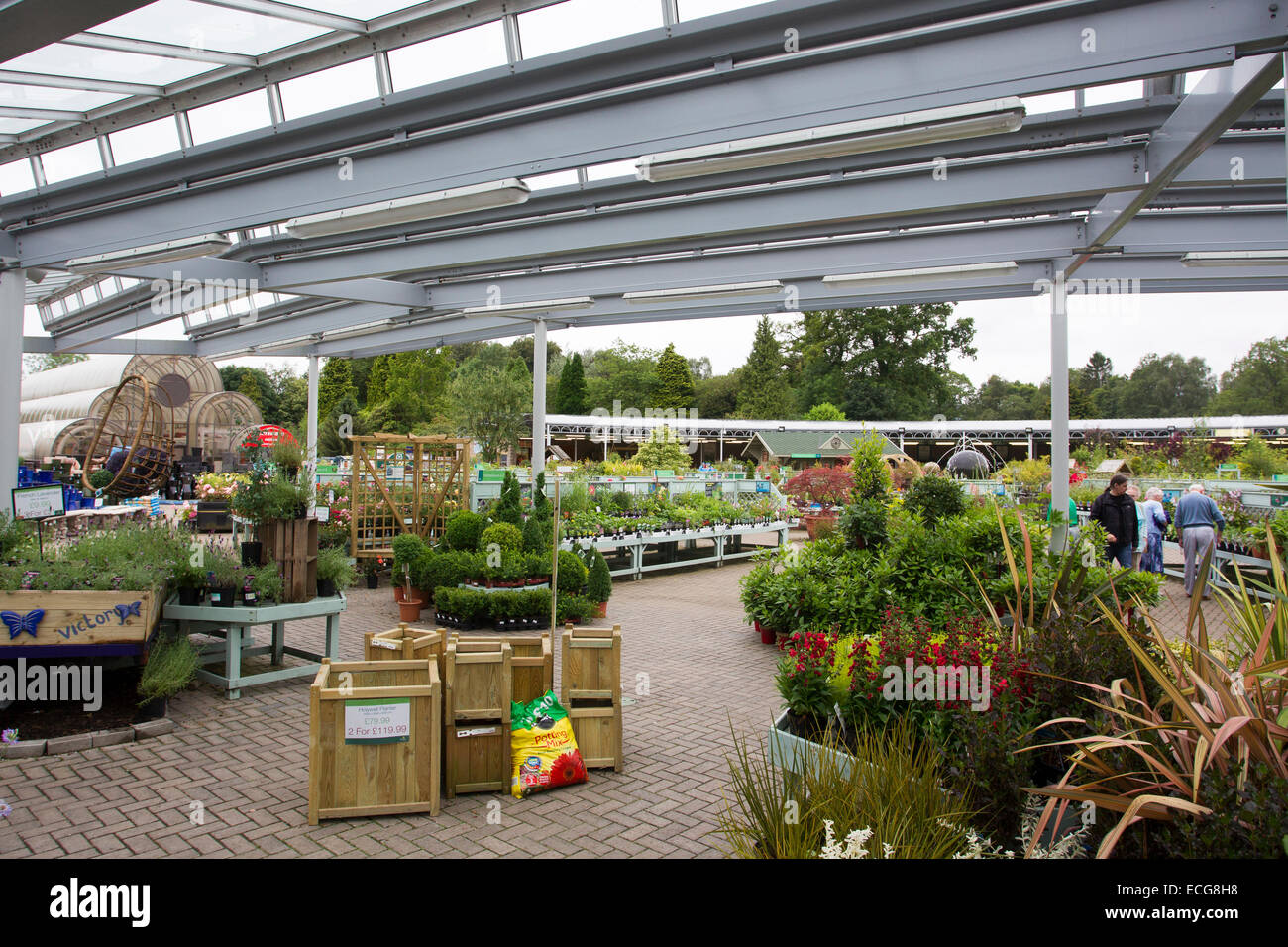 Hayes garden centre hi-res stock photography and images - Alamy