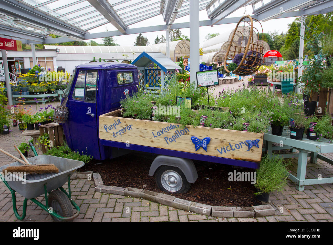 Hayes garden centre hi-res stock photography and images - Alamy