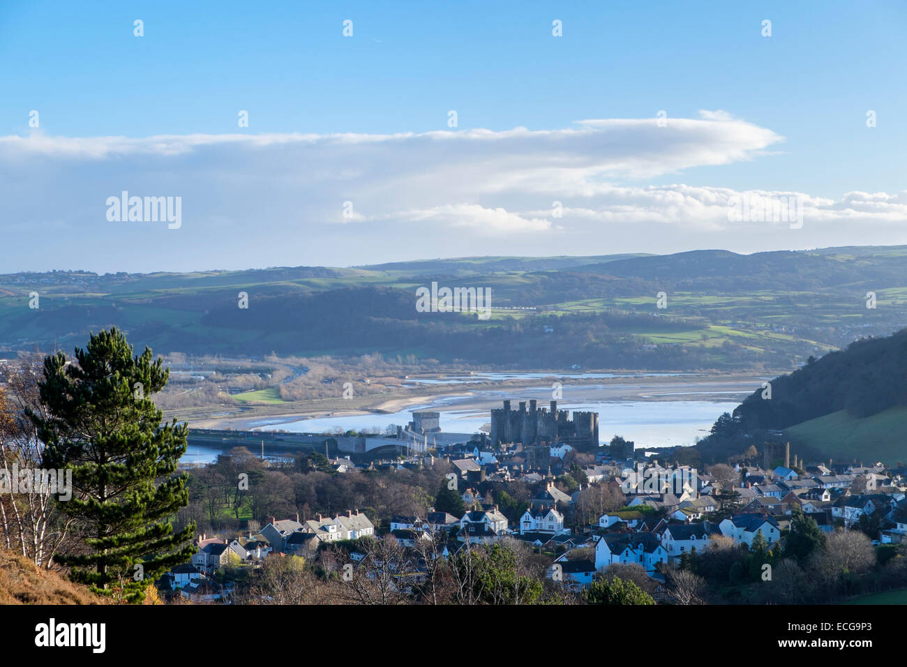 View from Conwy Mountain above county town and castle beside Afon Conwy river estuary. Conwy, North Wales, UK, Great Britain Stock Photo