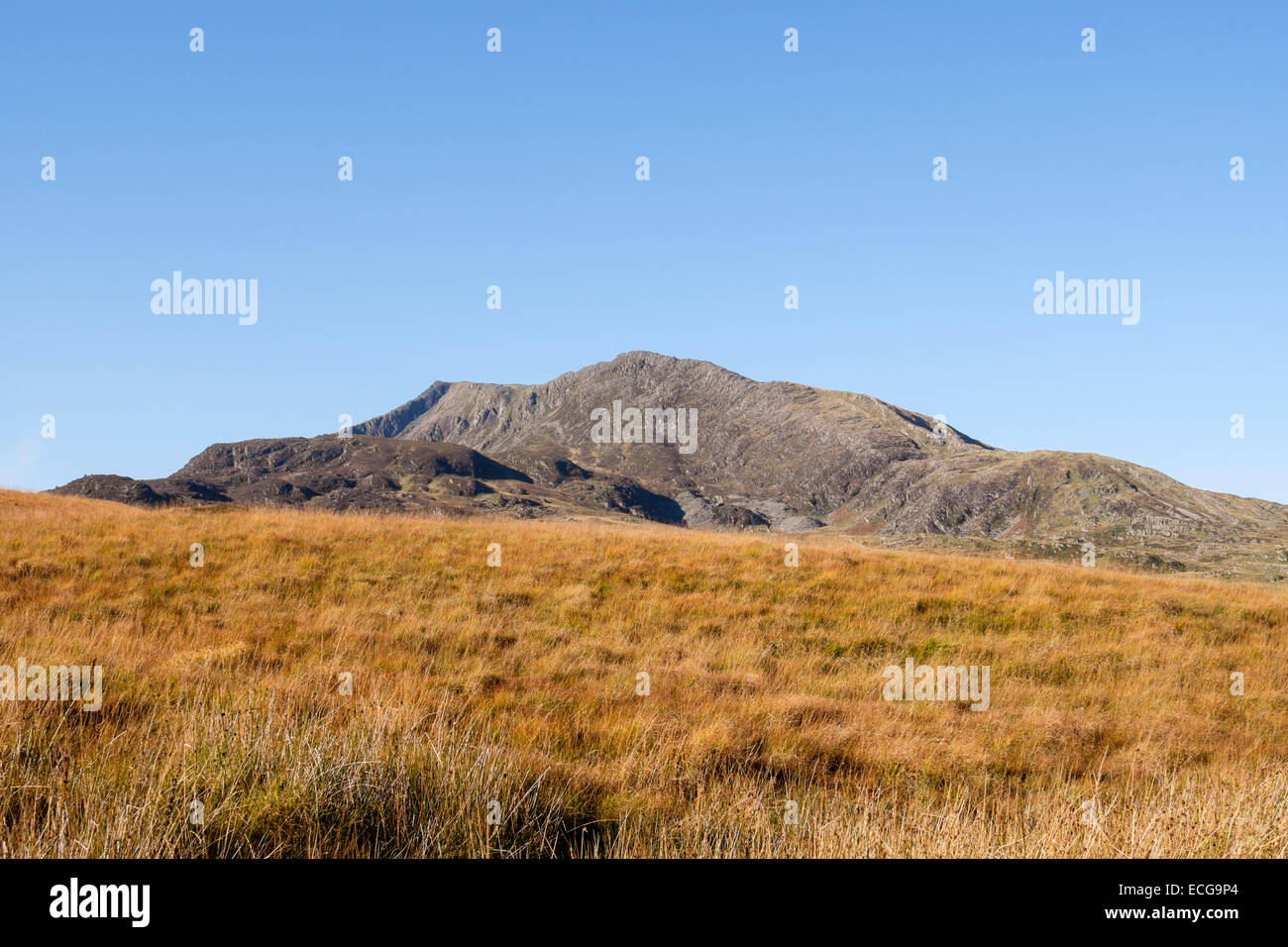 View across moorland to rocky Carnedd Moel Siabod mountain from east side in Snowdonia National Park, North Wales, UK, Britain Stock Photo