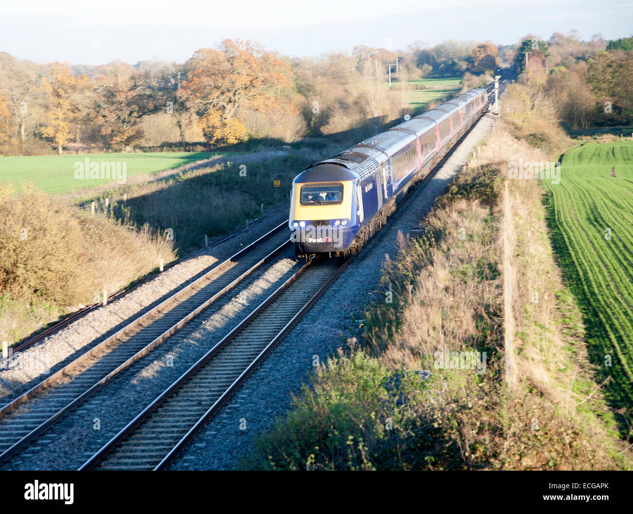 First Great Western inter-city diesel train on the West Coast mainline Woodborough,  Wiltshire, England, UK Stock Photo