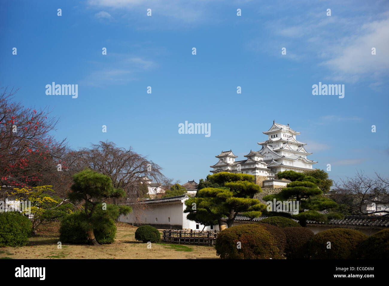 The restored Himeji Castle opening in March 2015, Himeji, Japan Stock