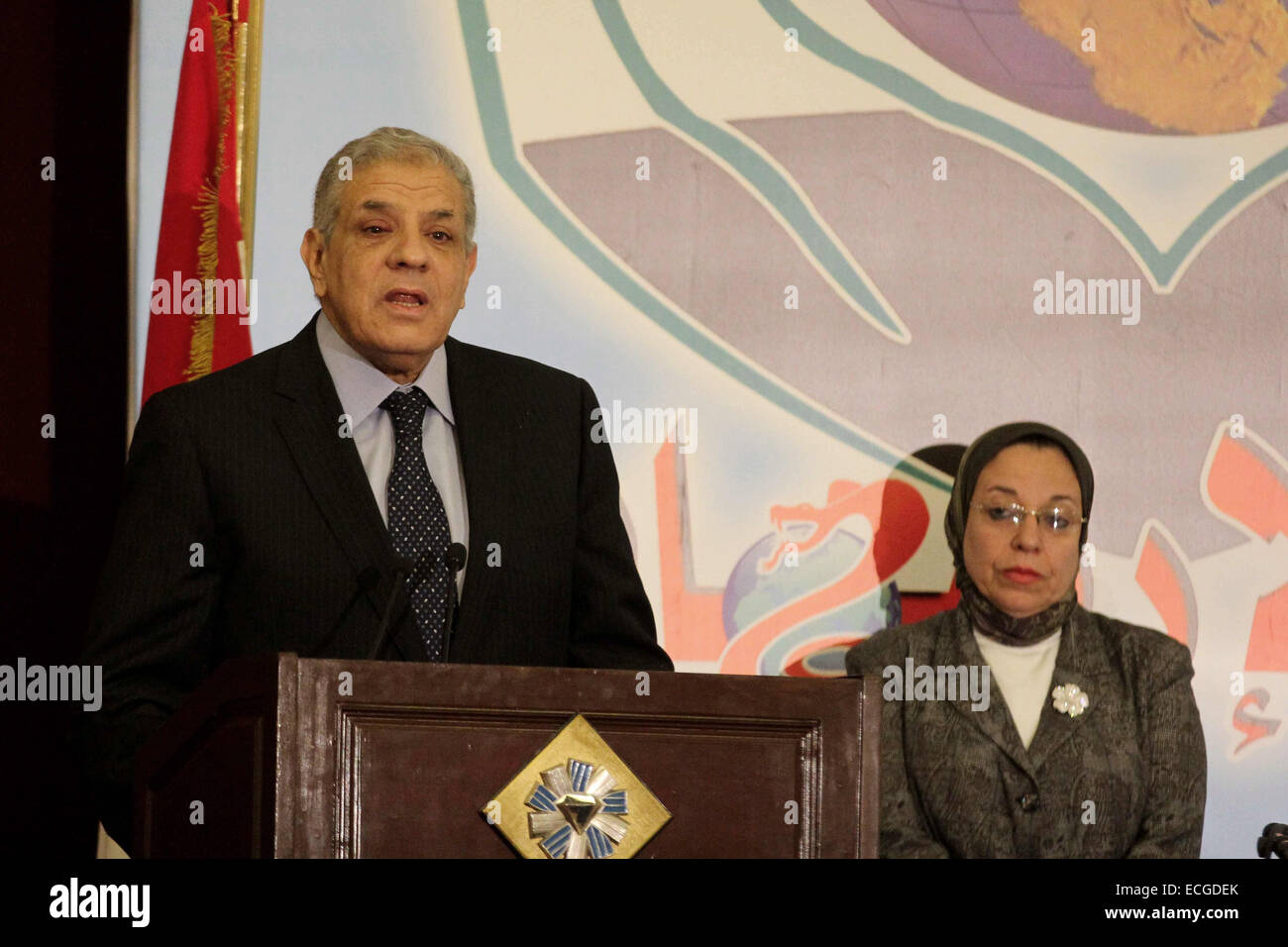 Cairo, Egypt. 14th Dec, 2014. Egyptian Prime Minister Ibrahim Mahlab
