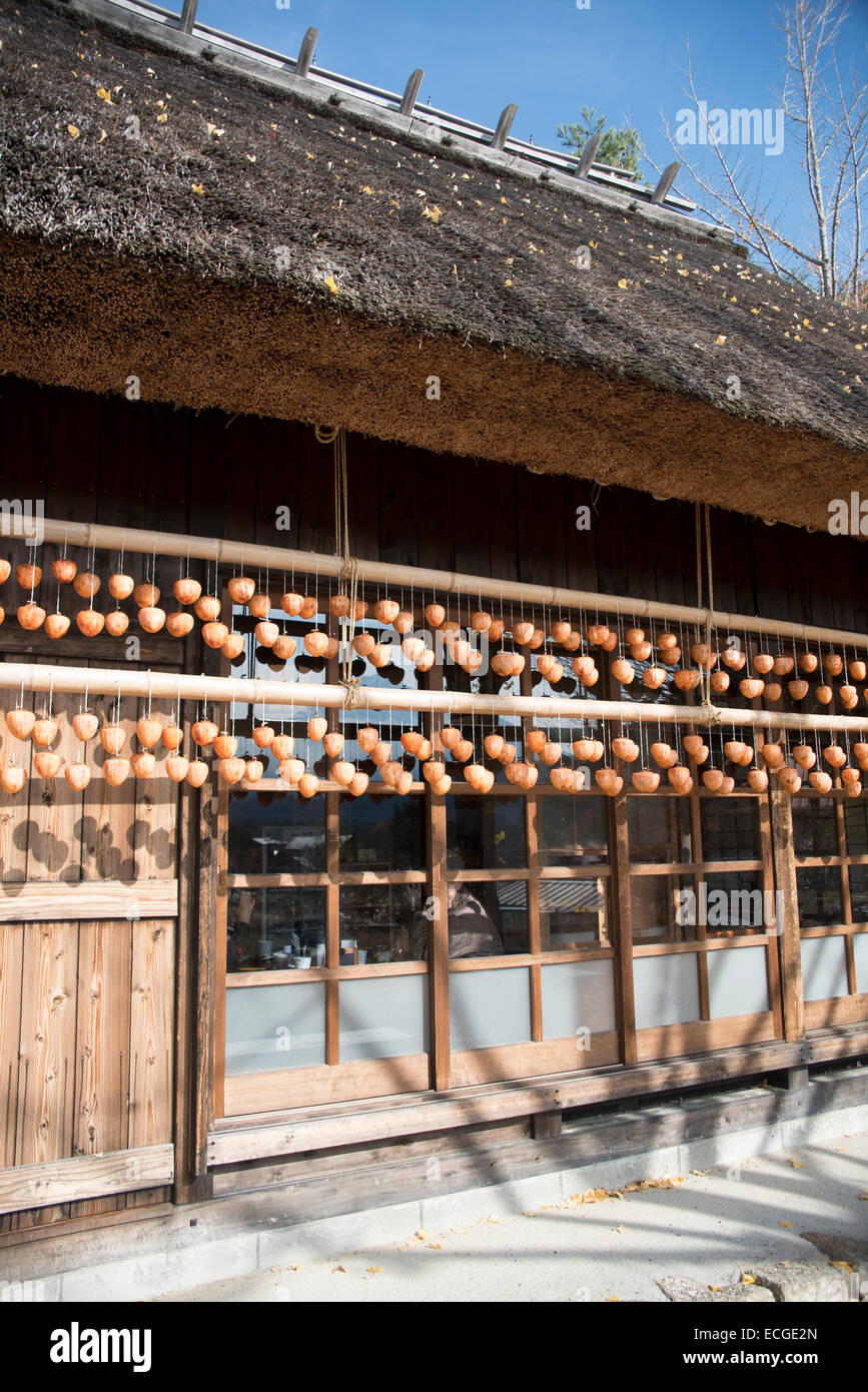 Traditional Japanese house with thatched roof at Oishi petit pension ...