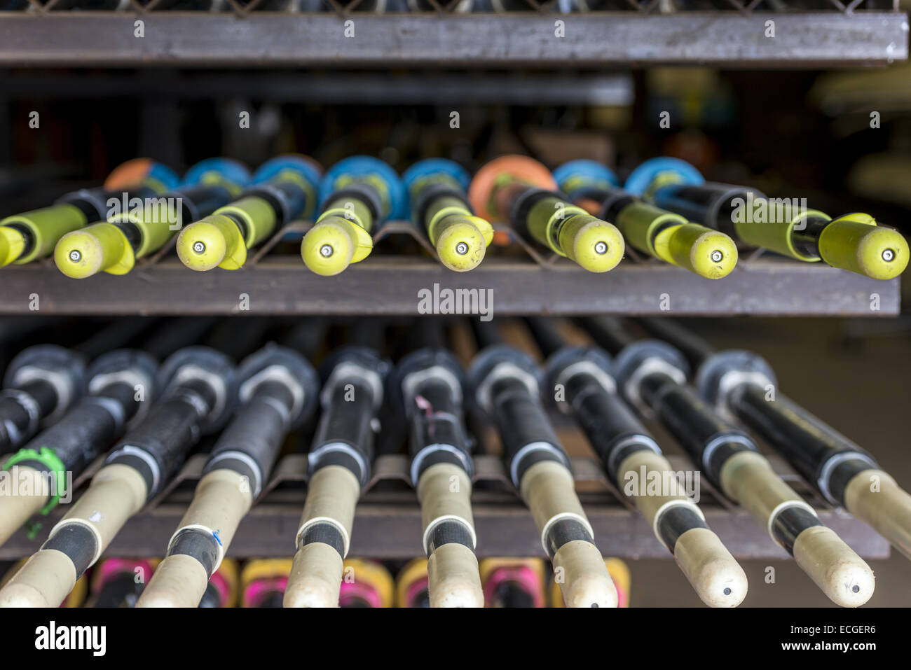 Oxford University is famous for rowing. Inside Wadham College boathouse is a selection of oars and boats used by the students. Stock Photo