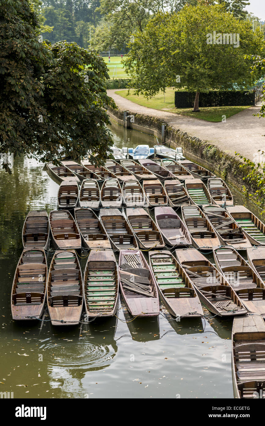 Punts on the River Cherwell, Oxford. Punting is a famous Oxford University activity enjoyed by students and tourists alike. Stock Photo