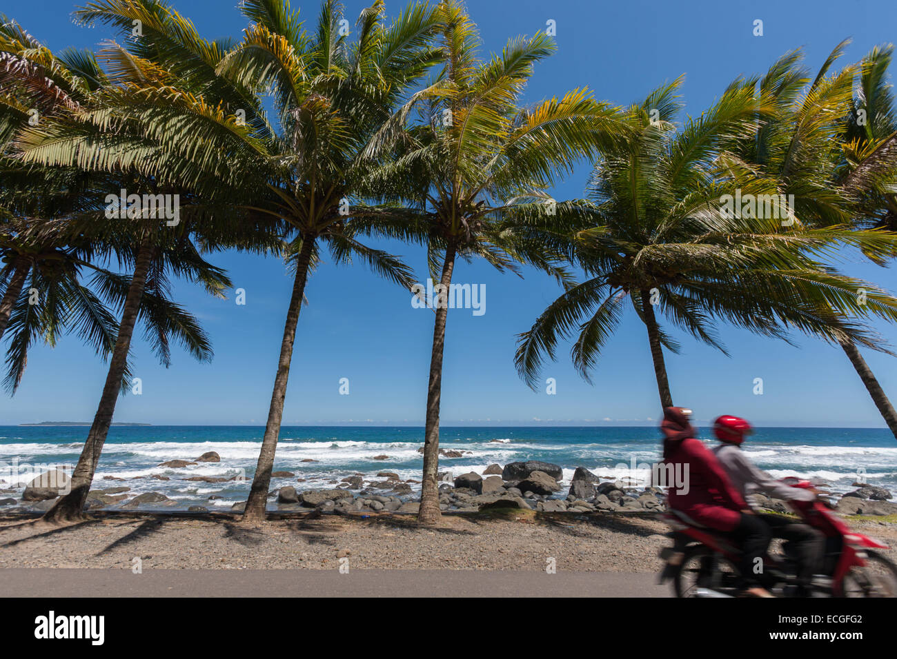 Motorists riding on a coastal road with coconut trees and flat beach in the background, in Kotakarang village, Pesisir Barat, Lampung, Indonesia. Stock Photo