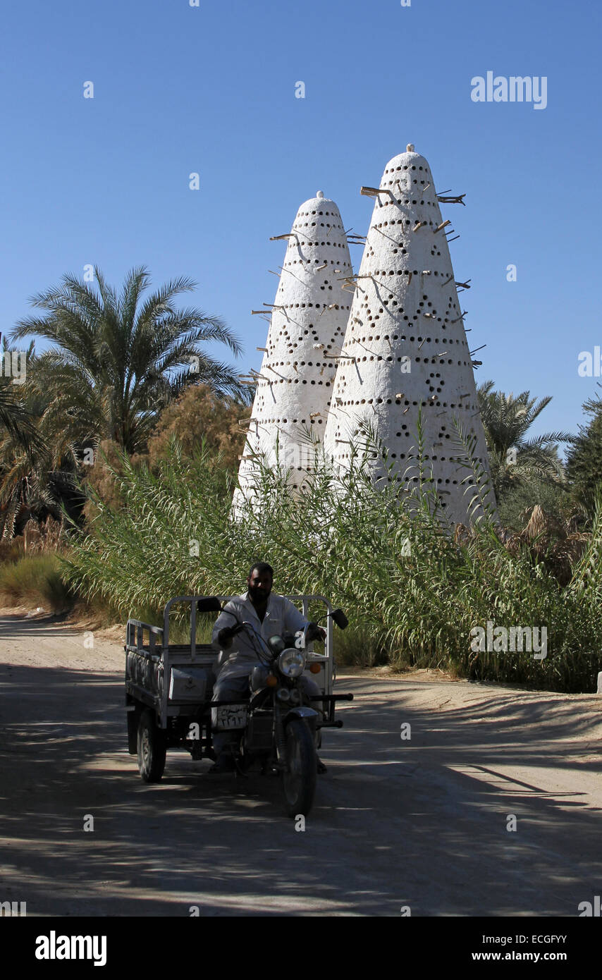 A man rides a motorbike trailer along a dusty road with pigeon coops in the background, in Siwa oasis, Egypt Stock Photo