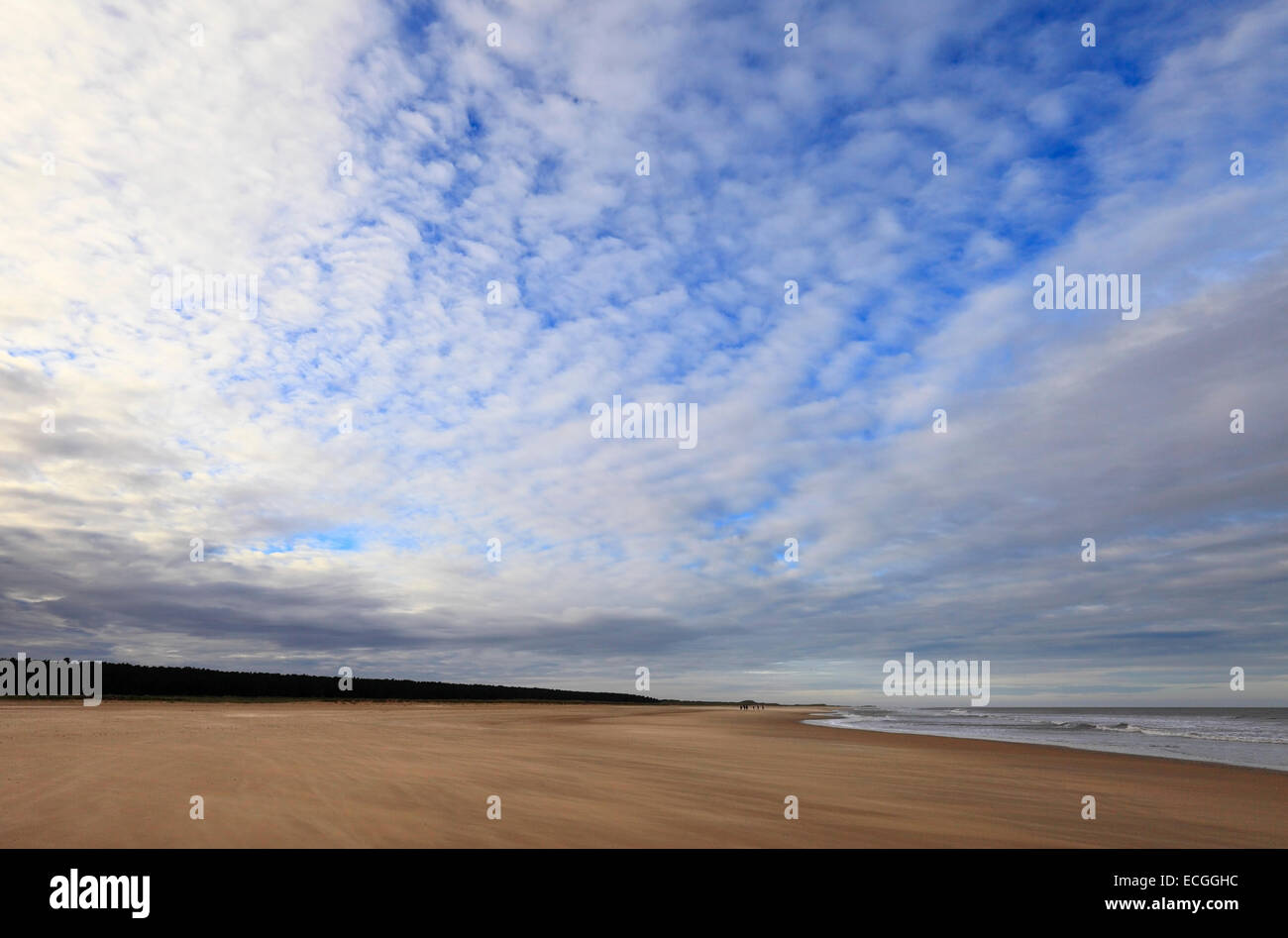 Holkham Bay on the Norfolk coast in Winter. Stock Photo