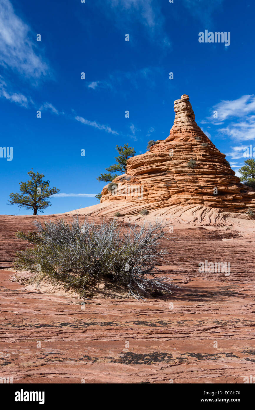 Dessert Landscape In South Western Utah With Red Sandstone And A Hoo Stock Photo Alamy