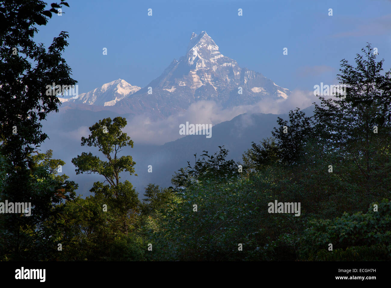 The Mountain Annapurna and Machhapuchchhre or Fishtail Mountain  from the village of Ghandruk Stock Photo