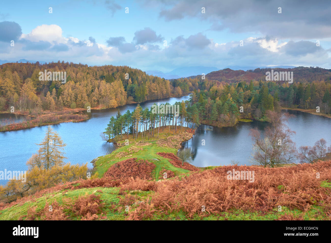 Autumn at Tarn Hows - Lake District, England, UK Stock Photo