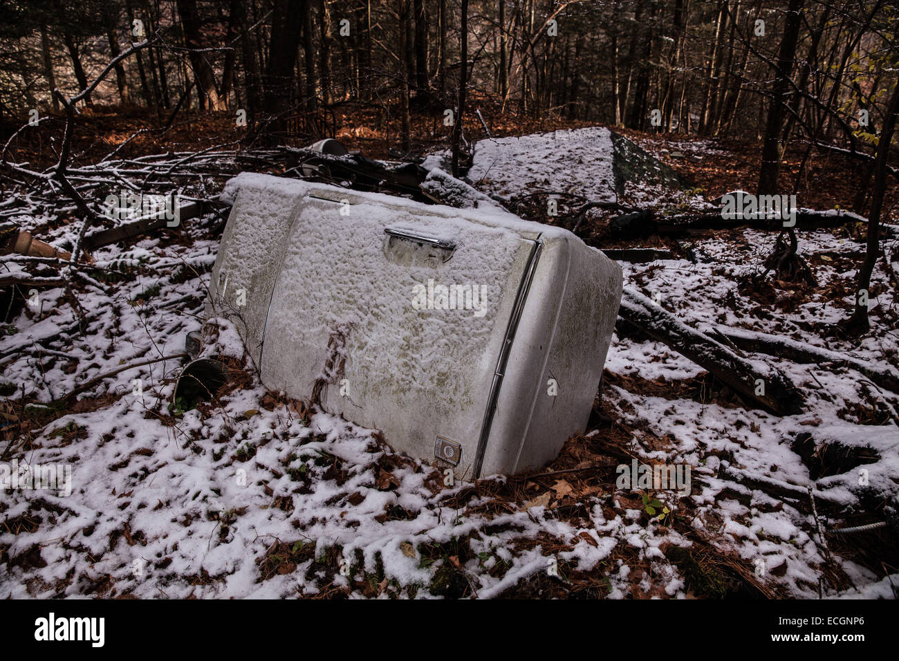 Refrigerator in middle of woods Stock Photo