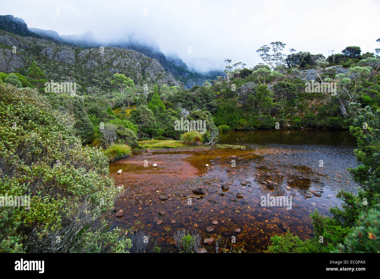 Australia lake mountain rain forest hi-res stock photography and images ...
