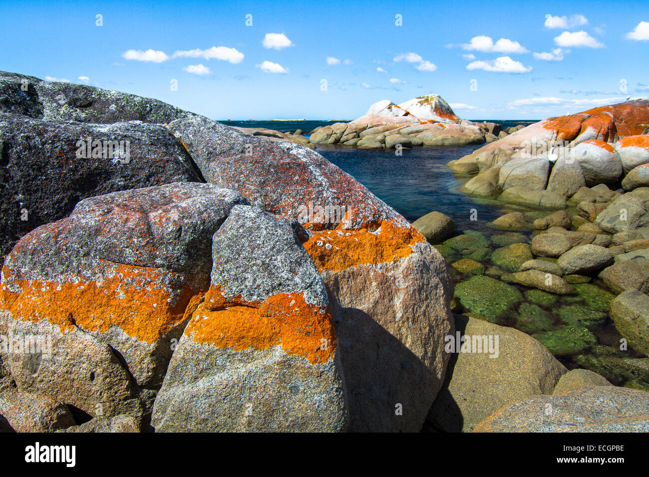 Bright Orange Rocks at the Bay of Fires, Tasmania, Australia Stock Photo