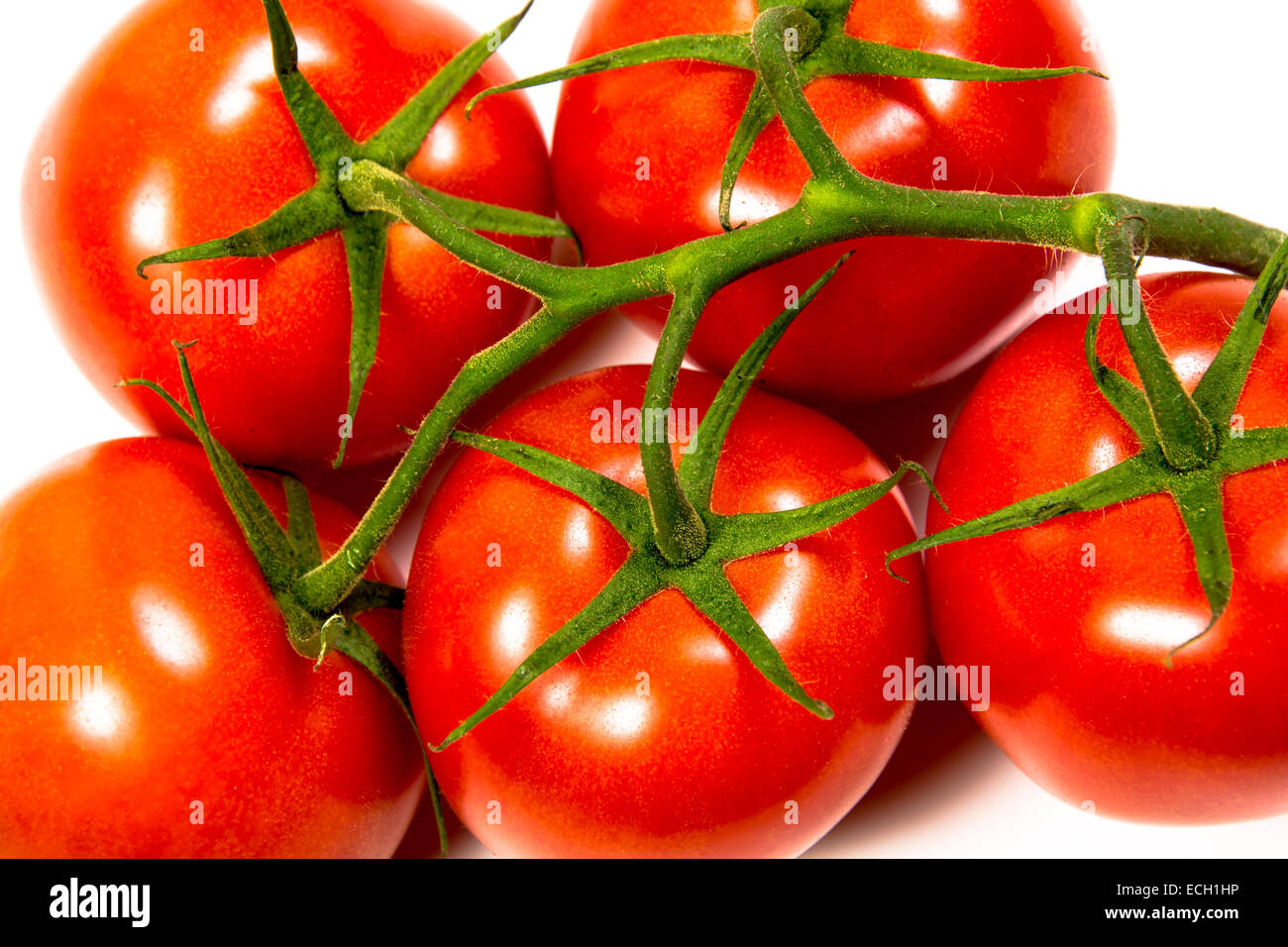 Bunch of ripe fresh red tomatoes Stock Photo - Alamy