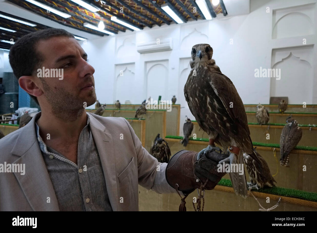 A Qatari man holds a tethered hooded falcon for sale in the Falcon Souq near Waqif market located in the district of Al Souq which is situated in the center of Doha capital of Qatar Stock Photo