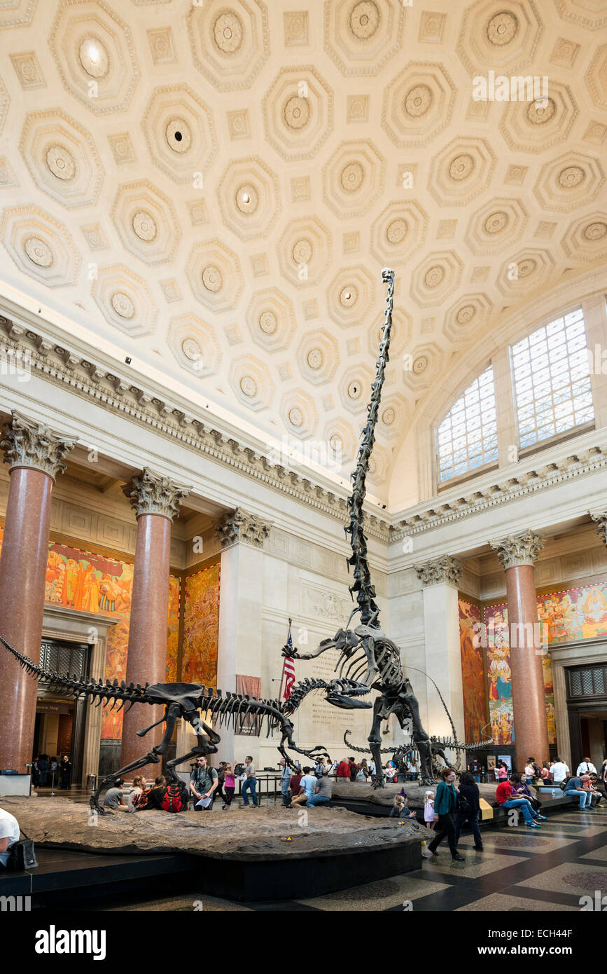 Dinosaur skeletons, Metropolitan Museum of Art, Manhattan, New York, United States Stock Photo