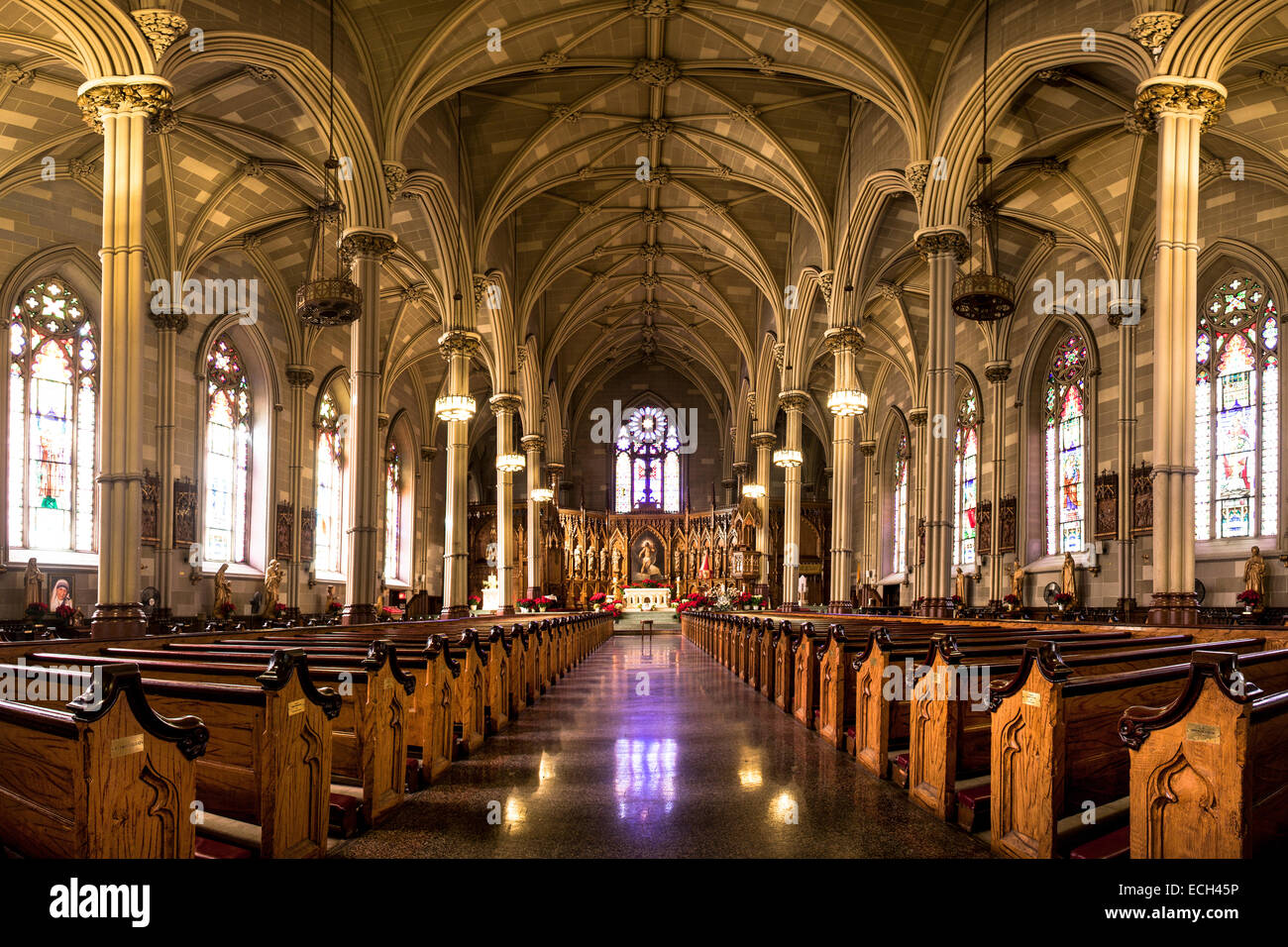 Saint Patrick's Old Cathedral or Old St. Patrick's, Lower Manhattan, Manhattan, New York, United States Stock Photo