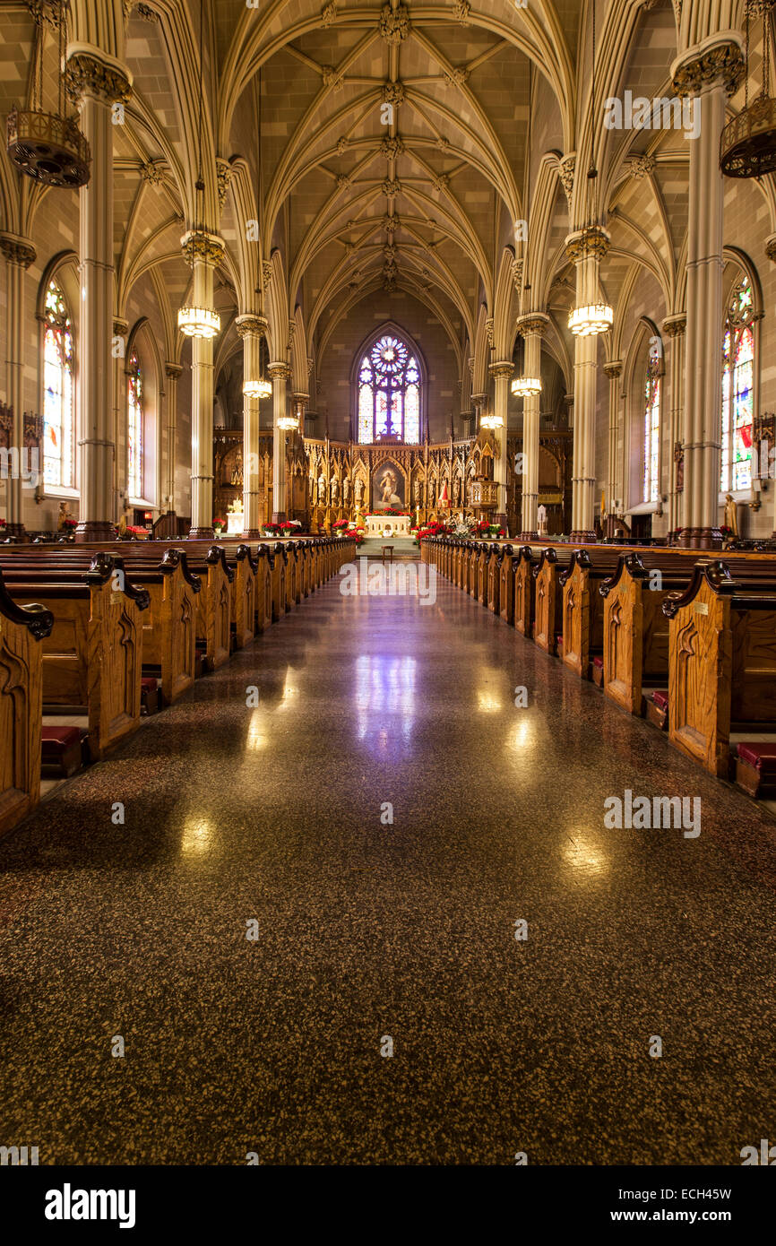 Saint Patrick's Old Cathedral or Old St. Patrick's, Lower Manhattan, Manhattan, New York, United States Stock Photo